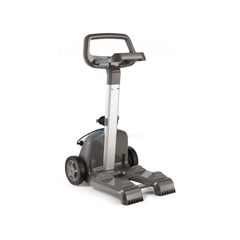 Aspirateur de Piscine DOLPHIN ZENIT 15 CB